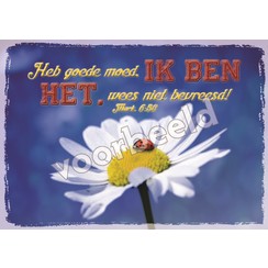 Ansichtkaart met tekst 22-16  (1 stuk = set à 10 dezelfde kaarten)