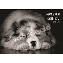 Ansichtkaart met tekst 22-03  (1 stuk = set à 10 dezelfde kaarten)