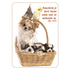 Ansichtkaart met tekst 22-09  (1 stuk = set à 10 dezelfde kaarten)