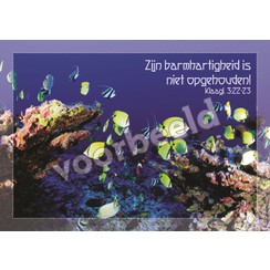 Ansichtkaart met tekst 22-11  (1 stuk = set à 10 dezelfde kaarten)