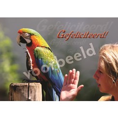 Ansichtkaart met tekst 22-13  (1 stuk = set à 10 dezelfde kaarten)