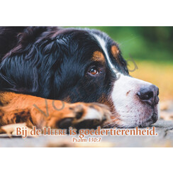 Ansichtkaart met tekst 23-03 (1 stuk = set van 10 dezelfde ansichtkaarten)