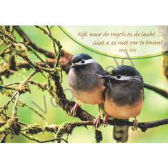 Ansichtkaart met tekst 23-05 (1 stuk = set van 10 dezelfde ansichtkaarten)