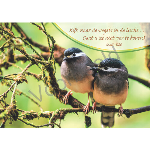 Ansichtkaart met tekst 23-05 (1 stuk = set van 10 dezelfde ansichtkaarten)