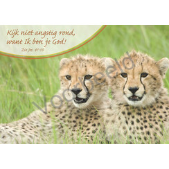 Ansichtkaart met tekst 23-06 (1 stuk = set van 10 dezelfde ansichtkaarten)