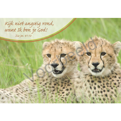 Ansichtkaart met tekst 23-06 (1 stuk = set van 10 dezelfde ansichtkaarten)