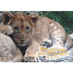 Ansichtkaart met tekst 23-10 (1 stuk = set van 10 dezelfde ansichtkaarten)