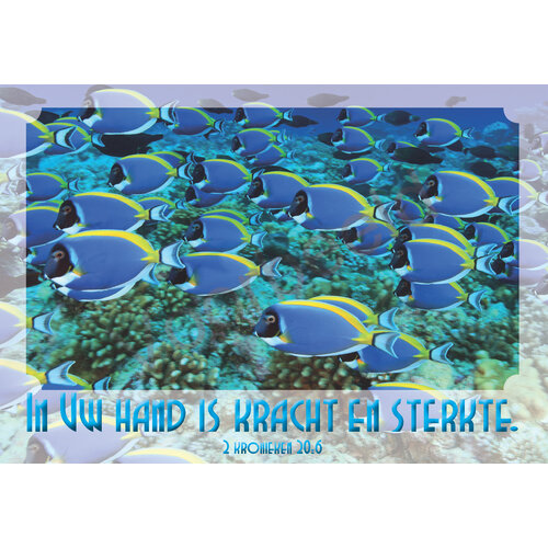 Ansichtkaart met tekst 23-14 (1 stuk = set van 10 dezelfde ansichtkaarten)