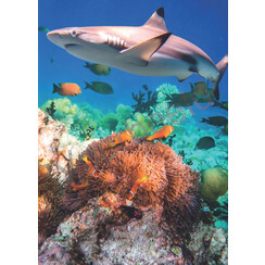 Ansichtkaart met tekst 23-16 (1 stuk = set van 10 dezelfde ansichtkaarten)