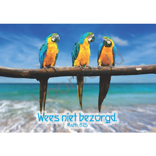 Ansichtkaart met tekst 23-18 (1 stuk = set van 10 dezelfde ansichtkaarten)