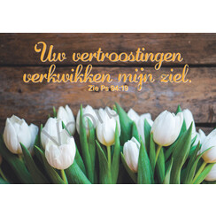 Ansichtkaart met tekst 23-20 (1 stuk = set van 10 dezelfde ansichtkaarten)