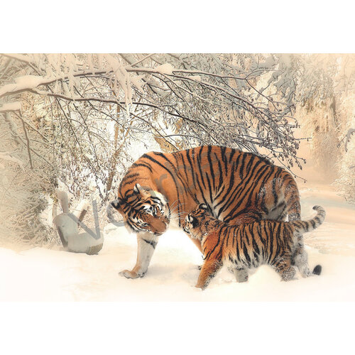 Ansichtkaart met tekst 23-22 (1 stuk = set van 10 dezelfde ansichtkaarten)