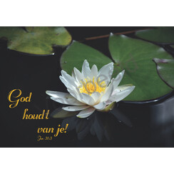 Ansichtkaart met tekst 23-23 (1 stuk = set van 10 dezelfde ansichtkaarten)