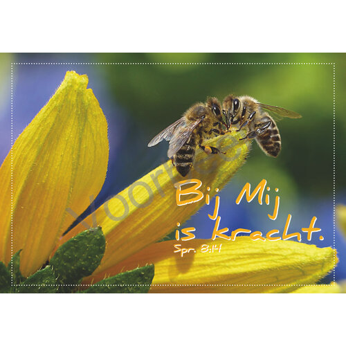 Ansichtkaart met tekst 23-24 (1 stuk = set van 10 dezelfde ansichtkaarten)