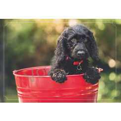 Ansichtkaart met tekst 23-25 (1 stuk = set van 10 dezelfde ansichtkaarten)