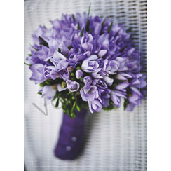 Ansichtkaart met tekst 23-26 (1 stuk = set van 10 dezelfde ansichtkaarten)