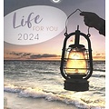 Life for you 2024