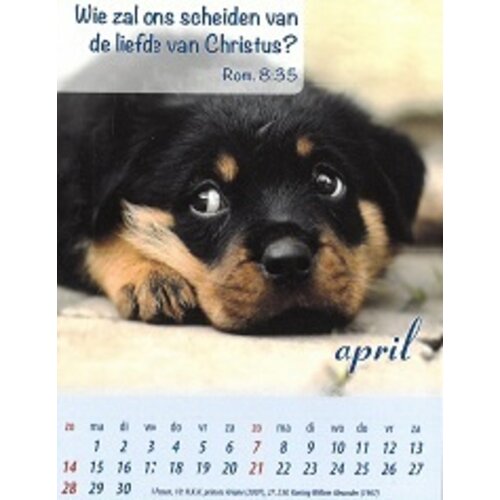 Minikalender A7 2024