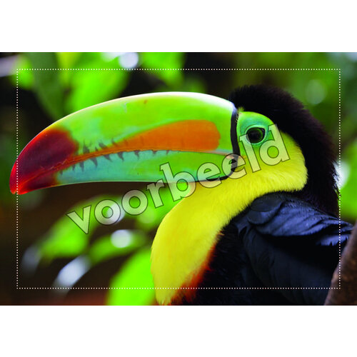 Ansichtkaart 24-04 (1 stuk = set van 10 dezelfde ansichtkaarten)