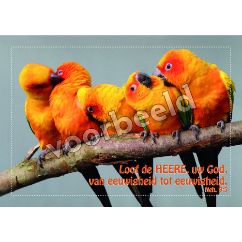 Ansichtkaart 24-06 (1 stuk = set van 10 dezelfde ansichtkaarten)