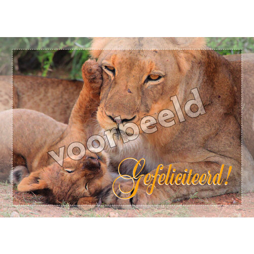 Ansichtkaart 24-07 (1 stuk = set van 10 dezelfde ansichtkaarten)