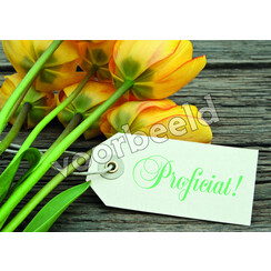 Ansichtkaart 24-09 (1 stuk = set van 10 dezelfde ansichtkaarten)