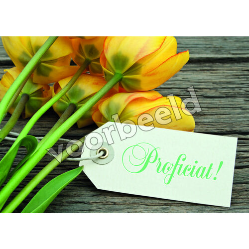 Ansichtkaart 24-09 (1 stuk = set van 10 dezelfde ansichtkaarten)