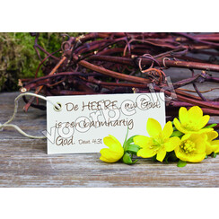 Ansichtkaart 24-10 (1 stuk = set van 10 dezelfde ansichtkaarten)