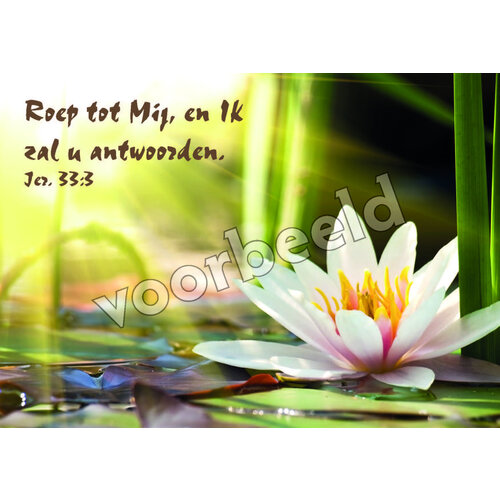 Ansichtkaart 24-11 (1 stuk = set van 10 dezelfde ansichtkaarten)