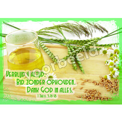 Ansichtkaart 24-12 (1 stuk = set van 10 dezelfde ansichtkaarten)