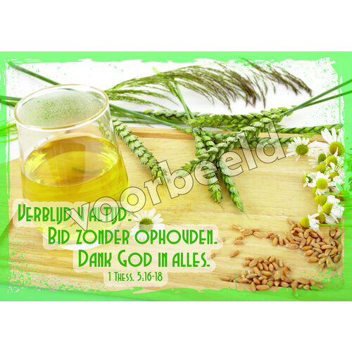 Ansichtkaart 24-12 (1 stuk = set van 10 dezelfde ansichtkaarten)