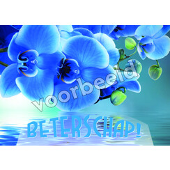 Ansichtkaart 24-14 (1 stuk = set van 10 dezelfde ansichtkaarten)