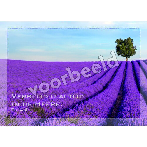 Ansichtkaart 24-16 (1 stuk = set van 10 dezelfde ansichtkaarten)