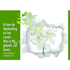 Ansichtkaart 24-20 (1 stuk = set van 10 dezelfde ansichtkaarten)