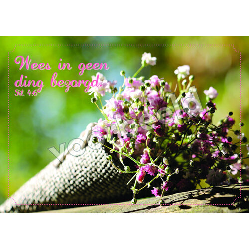 Ansichtkaart 24-24 (1 stuk = set van 10 dezelfde ansichtkaarten)