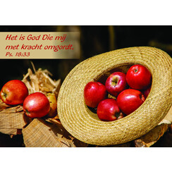 ansichtkaart 25-02 (1 stuk = set van 10 dezelfde ansichtkaarten)