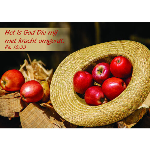 ansichtkaart 25-02 (1 stuk = set van 10 dezelfde ansichtkaarten)