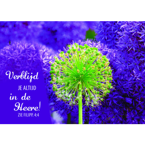 ansichtkaart 25-08 (1 stuk = set van 10 dezelfde ansichtkaarten)