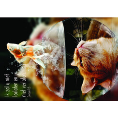 ansichtkaart 25-10 (1 stuk = set van 10 dezelfde ansichtkaarten)