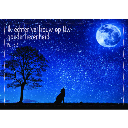 ansichtkaart 25-12 (1 stuk = set van 10 dezelfde ansichtkaarten)