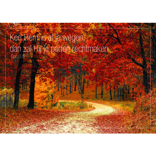 ansichtkaart 25-13 (1 stuk = set van 10 dezelfde ansichtkaarten)