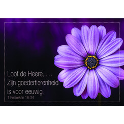 ansichtkaart 25-14 (1 stuk = set van 10 dezelfde ansichtkaarten)