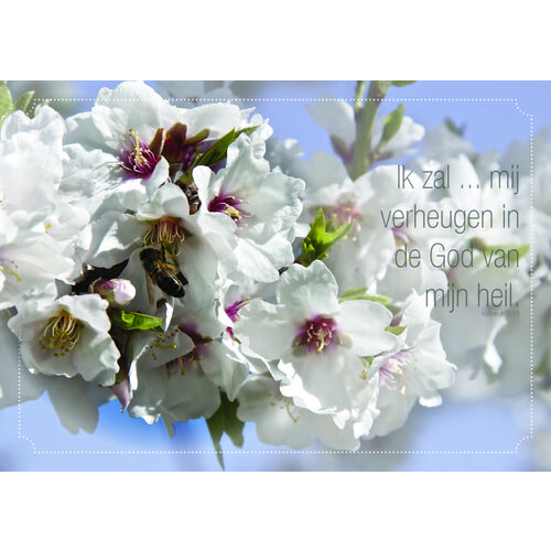 ansichtkaart 25-15 (1 stuk = set van 10 dezelfde ansichtkaarten)