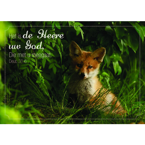 ansichtkaart 25-17 (1 stuk = set van 10 dezelfde ansichtkaarten)