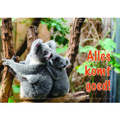 ansichtkaart 25-19 (1 stuk = set van 10 dezelfde ansichtkaarten)