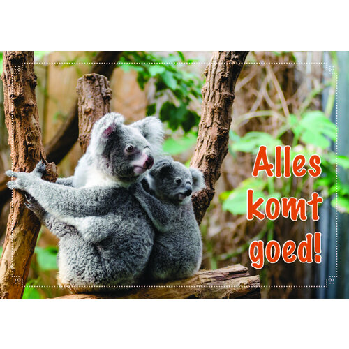 ansichtkaart 25-19 (1 stuk = set van 10 dezelfde ansichtkaarten)