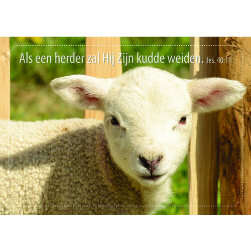 ansichtkaart 25-20 (1 stuk = set van 10 dezelfde ansichtkaarten)