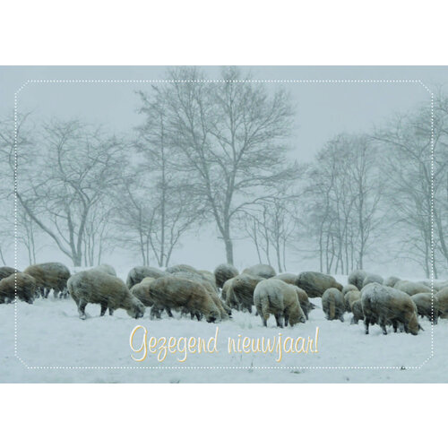 ansichtkaart 25-23 (1 stuk = set van 10 dezelfde ansichtkaarten)