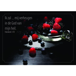 ansichtkaart 25-26 (1 stuk = set van 10 dezelfde ansichtkaarten)