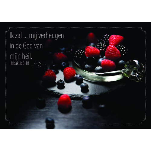 ansichtkaart 25-26 (1 stuk = set van 10 dezelfde ansichtkaarten)